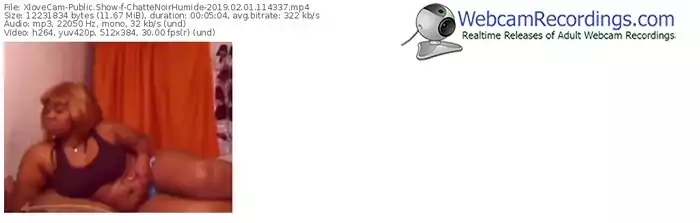 xlovecam-chattenoirhumide-webcam-show-02_01_2019-11_43_37