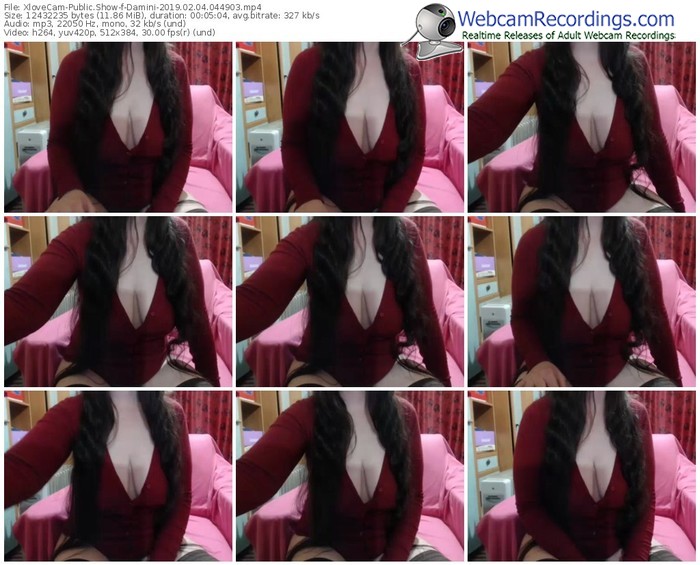 xlovecam-damini-webcam-show-02_04_2019-04_49_03