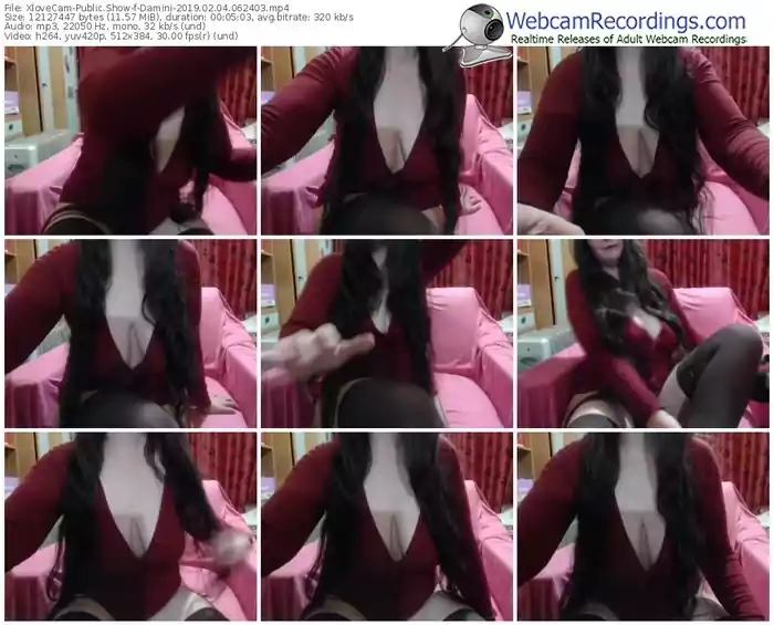 xlovecam-damini-webcam-show-02_04_2019-06_24_03