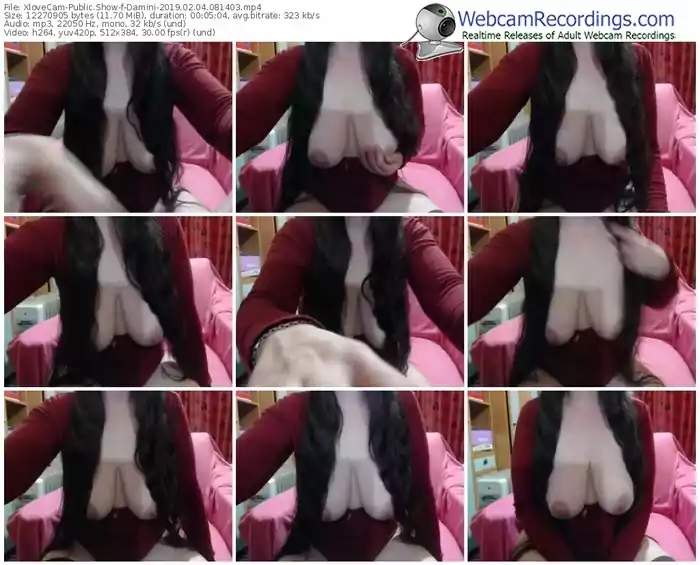 xlovecam-damini-webcam-show-02_04_2019-08_14_03