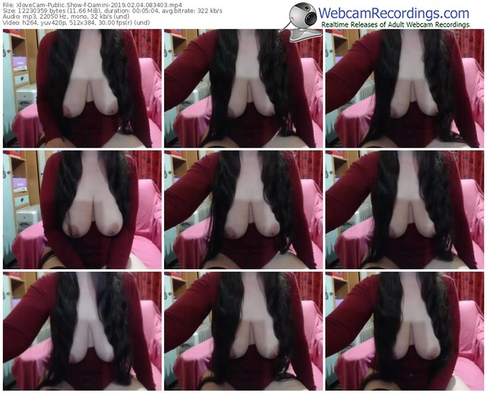 xlovecam-damini-webcam-show-02_04_2019-08_34_03