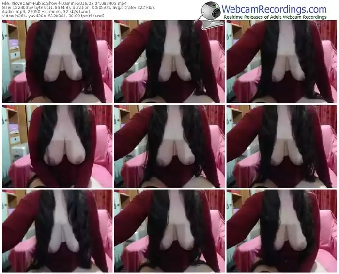 xlovecam-damini-webcam-show-02_04_2019-08_34_03