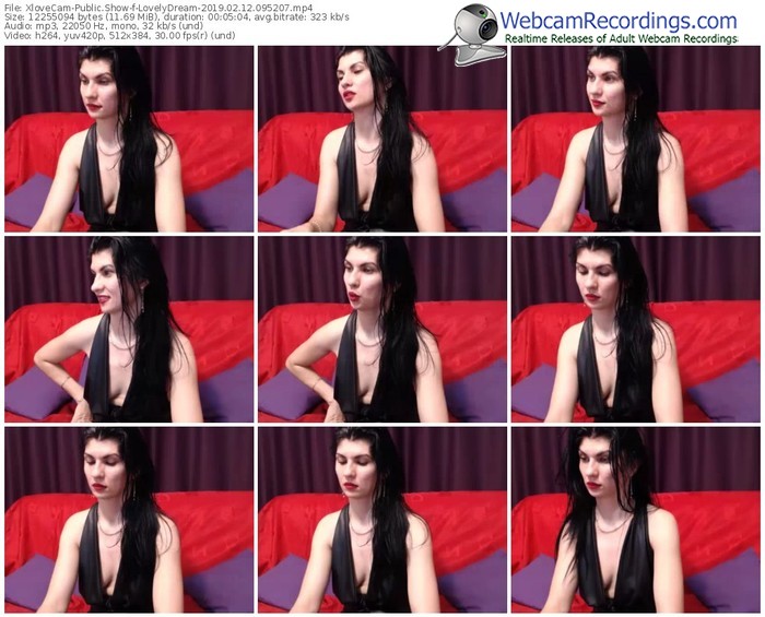 xlovecam-lovelydream-webcam-show-02_12_2019-09_52_07