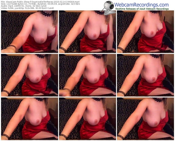 xlovecam-soumisedetonreves-webcam-show-02_14_2019-19_43_04