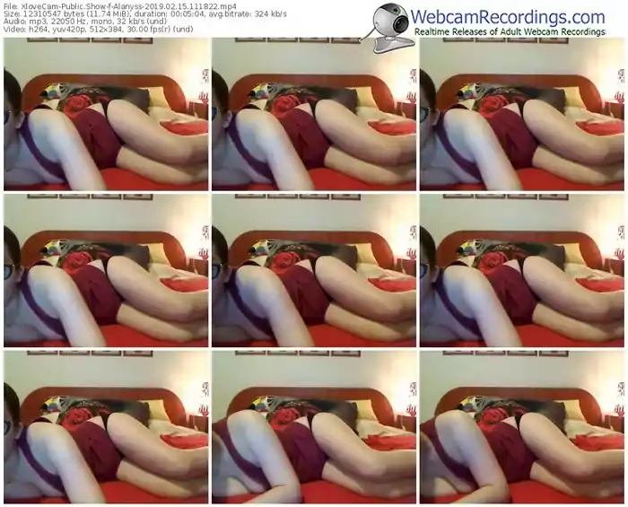 xlovecam-alanyss-webcam-show-02_15_2019-11_18_22