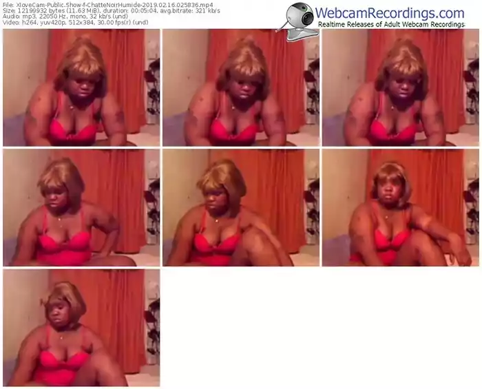 xlovecam-chattenoirhumide-webcam-show-02_16_2019-02_58_36