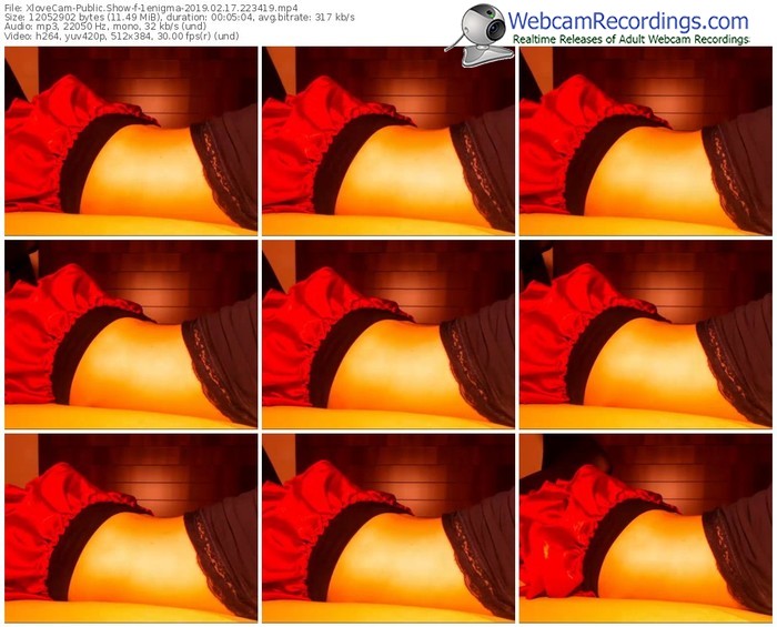 xlovecam-1enigma-webcam-show-02_17_2019-22_34_19