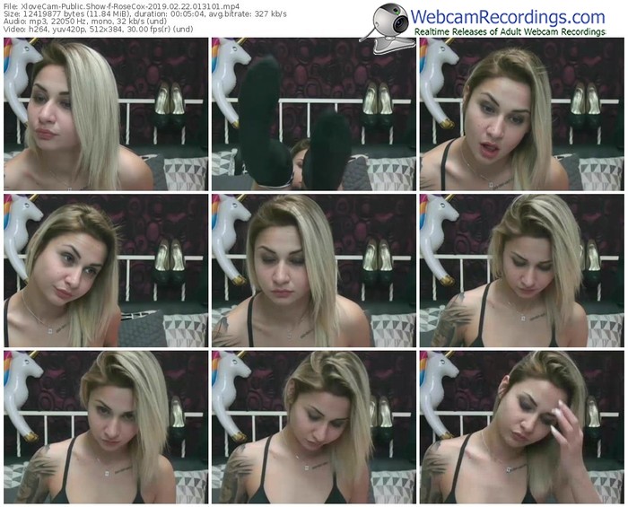 xlovecam-rosecox-webcam-show-02_22_2019-01_31_01