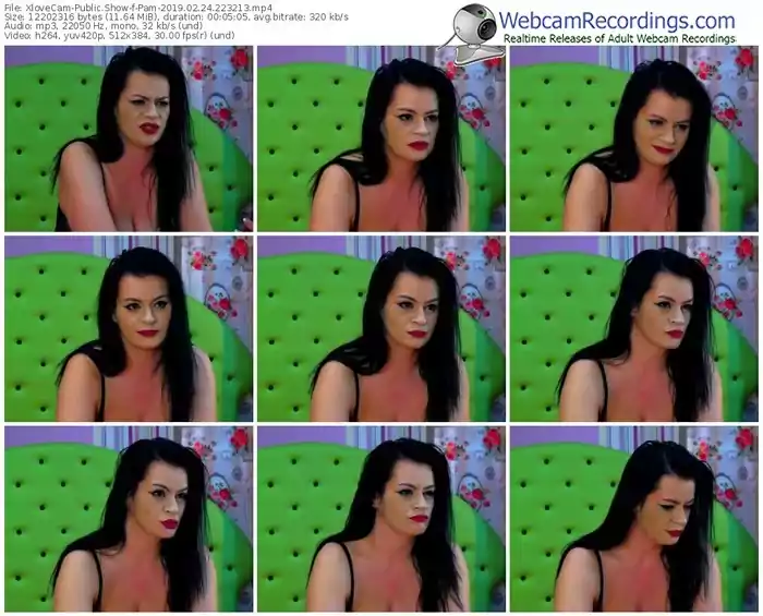 xlovecam-pam-webcam-show-02_24_2019-22_32_13