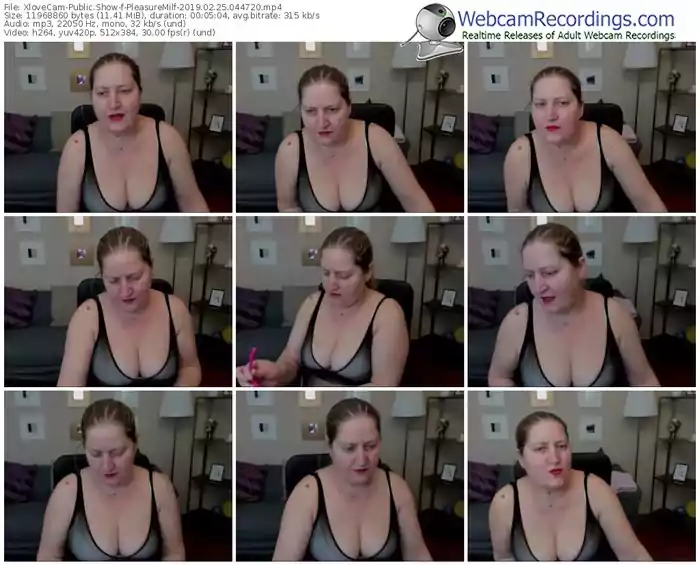 xlovecam-pleasuremilf-webcam-show-02_25_2019-04_47_20
