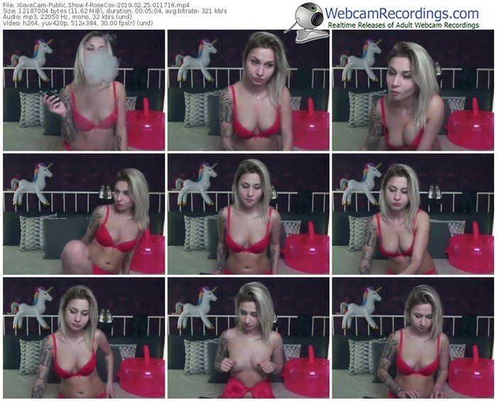 xlovecam-rosecox-webcam-show-02_25_2019-01_17_16