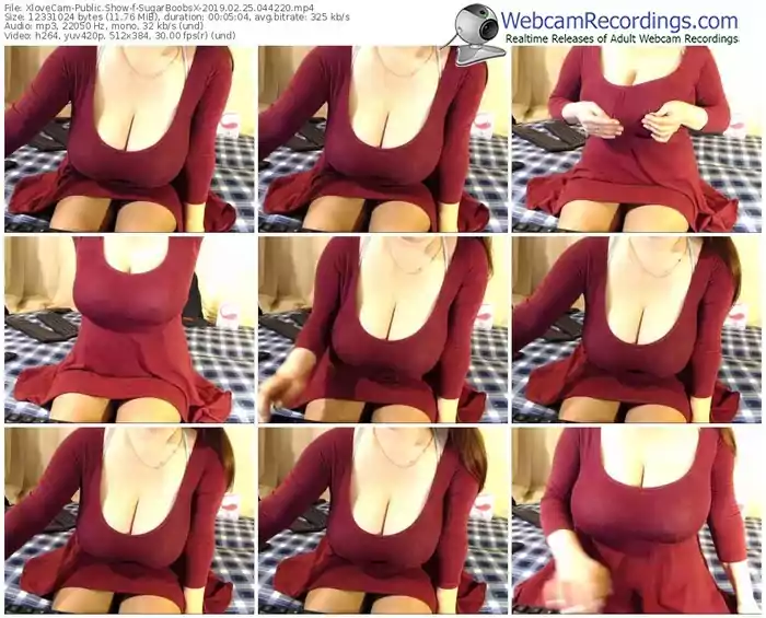 xlovecam-sugarboobsx-webcam-show-02_25_2019-04_42_20