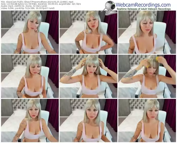 xlovecam-provencerose-webcam-show-06_25_2019-22_48_01