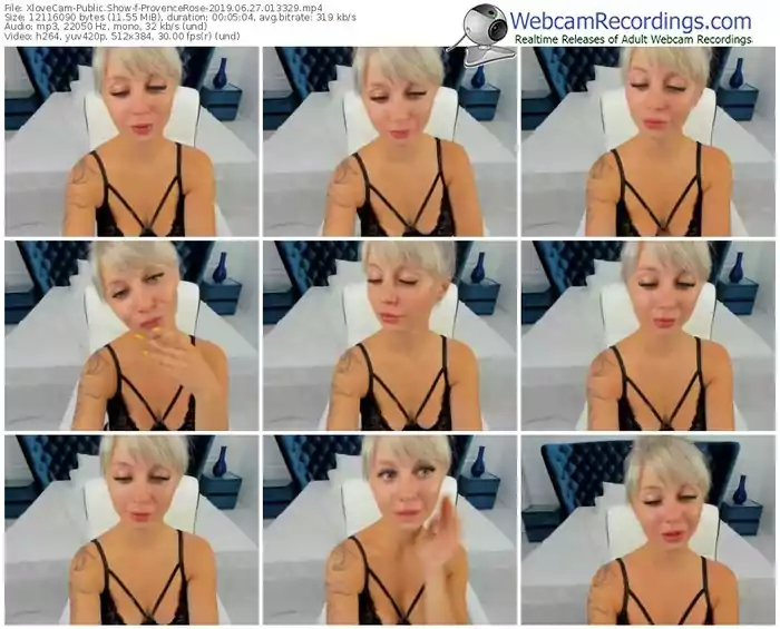 xlovecam-provencerose-webcam-show-06_27_2019-01_33_29