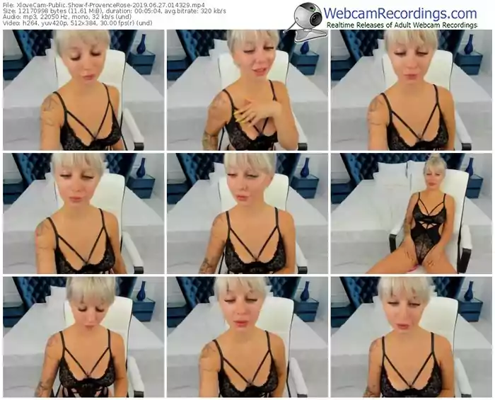 xlovecam-provencerose-webcam-show-06_27_2019-01_43_29