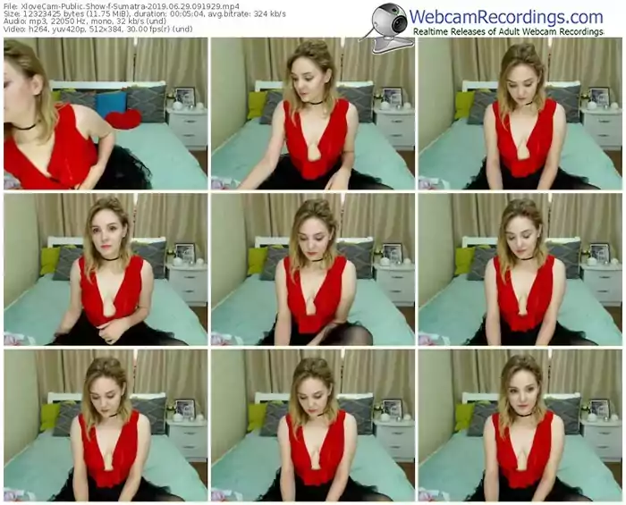 xlovecam-sumatra-webcam-show-06_29_2019-09_19_29