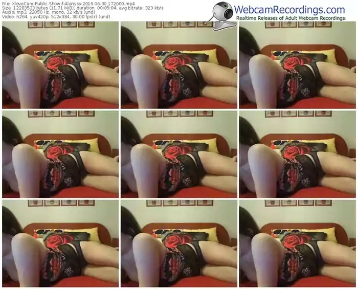 xlovecam-alanyss-webcam-show-06_30_2019-17_20_00