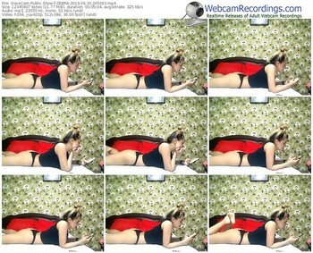 xlovecam-zebra-webcam-show-06_30_2019-20_50_03