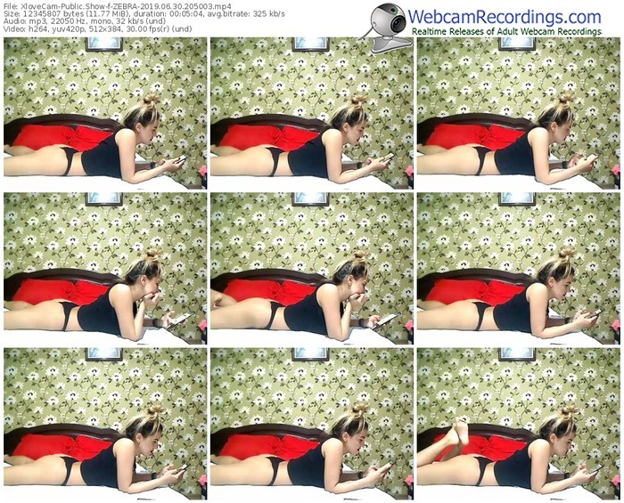xlovecam-zebra-webcam-show-06_30_2019-20_50_03