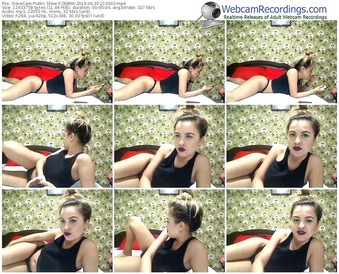 xlovecam-zebra-webcam-show-06_30_2019-21_00_03