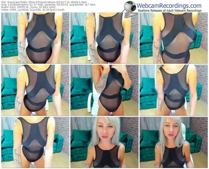 xlovecam-provencerose-webcam-show-07_01_2019-06_00_12