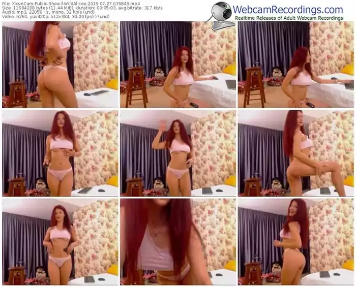 xlovecam-wildalicee-webcam-show-07_27_2019-03_58_49