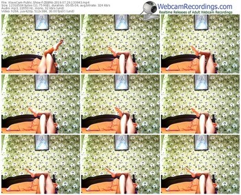xlovecam-zebra-webcam-show-07_29_2019-13_39_43