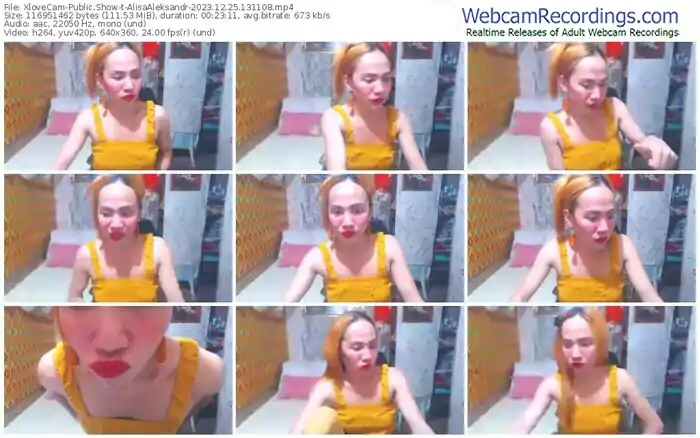 xlovecam-alisaaleksandr-12-25-2023-13-11-08