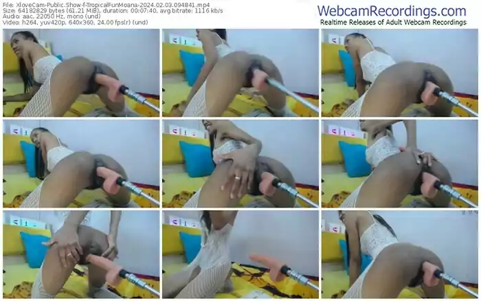 xlovecam-tropicalfunmoana-02-03-2024-09-48-41