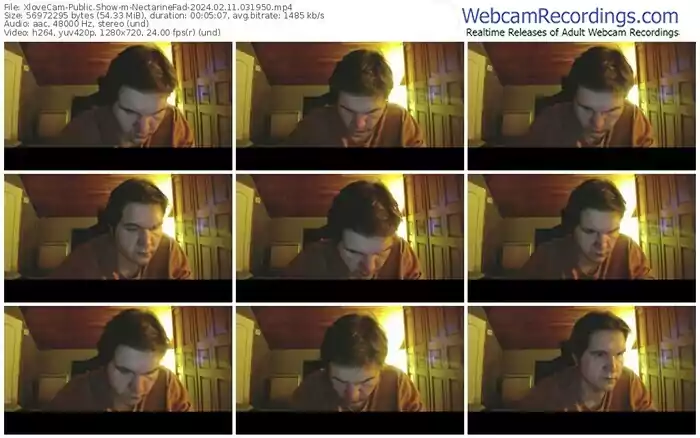 xlovecam-nectarinefad-02-11-2024-03-19-50