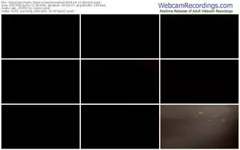 xlovecam-nectarinefad-04-11-2024-09-03-10