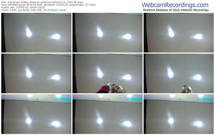 xlovecam-jorkgus-04-21-2024-12-51-34