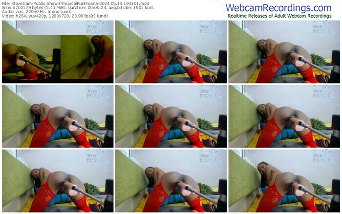 xlovecam-tropicalfunmoana-05-13-2024-19-41-01