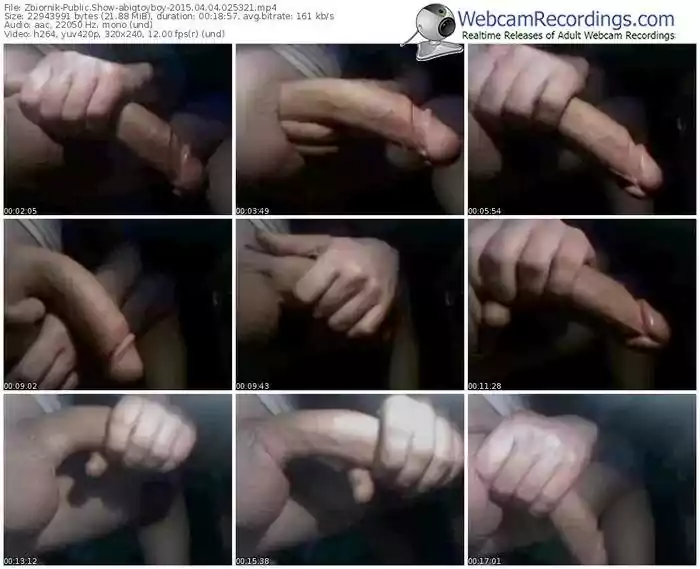 zbiornik-abigtoyboy-public-show-04_04_2015-02_53_21