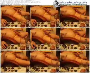 zbiornik-anakondas-public-show-04_08_2015-17_25_27