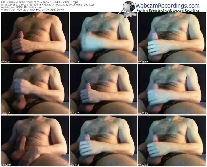 zbiornik-paholainen-public-show-04_12_2015-23_29_05