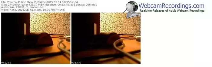 zbiornik-piotrekzx-public-show-05_04_2015-00_29_53