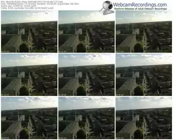 zbiornik-sheone-public-show-06_04_2015-06_11_12