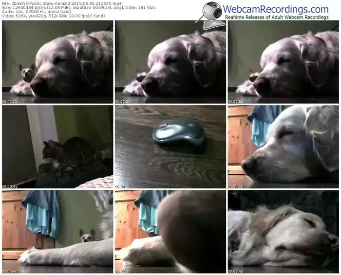 zbiornik-amazi2-public-show-06_05_2015-21_20_40