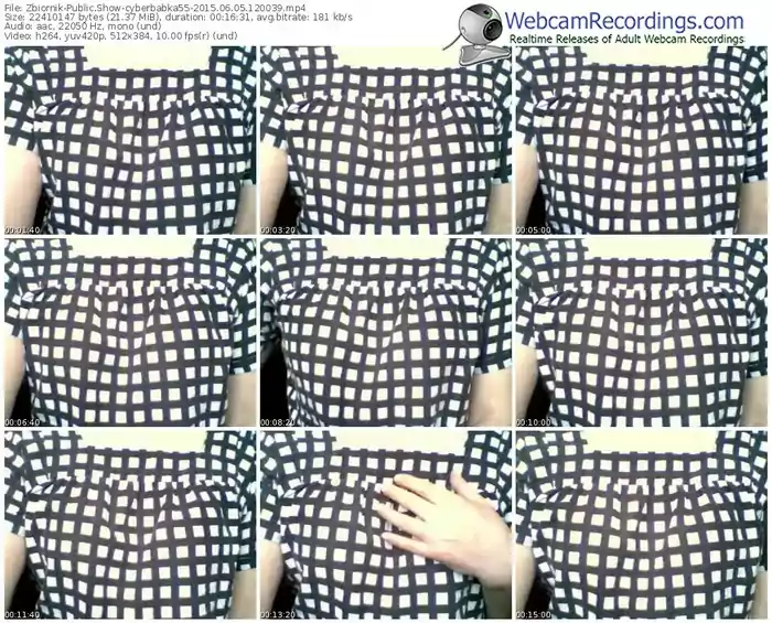 zbiornik-cyberbabka55-public-show-06_05_2015-12_00_39