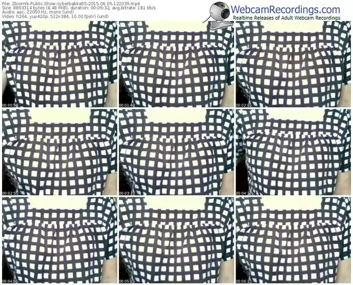 zbiornik-cyberbabka55-public-show-06_05_2015-12_20_39