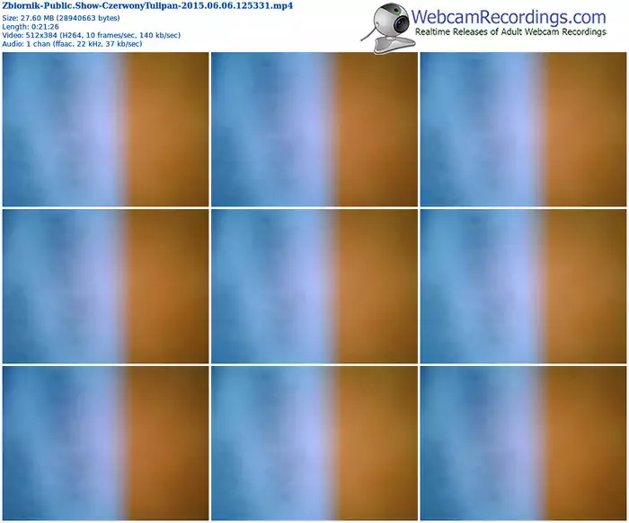 zbiornik-czerwonytulipan-public-show-06_06_2015-12_53_31