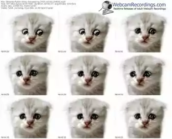 zbiornik-gosiaswing-public-show-06_06_2015-19_08_31