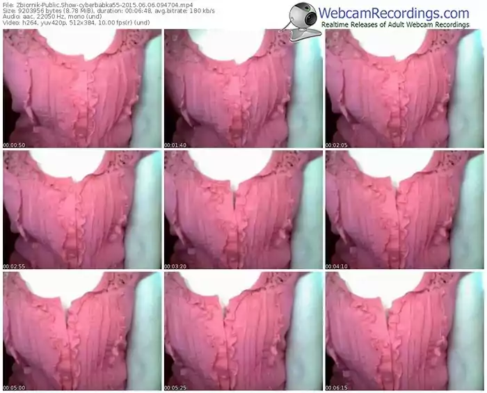 zbiornik-cyberbabka55-public-show-06_06_2015-09_47_04