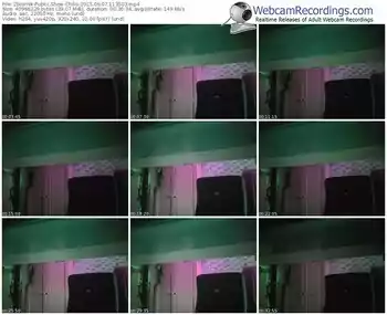 zbiornik-chilis-public-show-06_07_2015-11_35_03