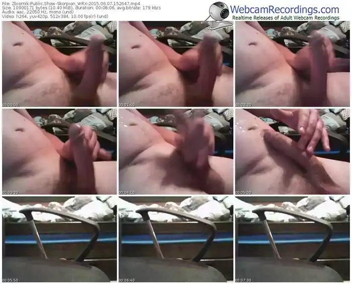 zbiornik-skorpion_wrx-public-show-06_07_2015-15_26_47