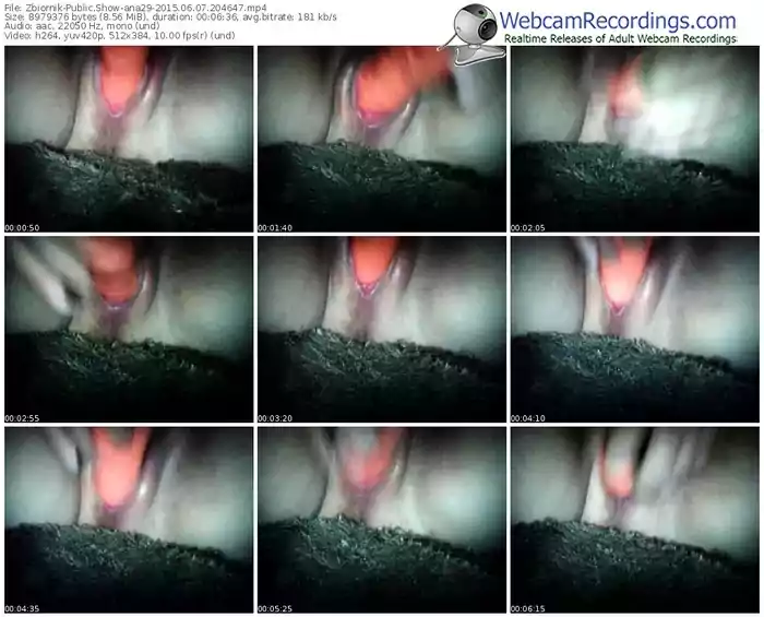 zbiornik-ana29-public-show-06_07_2015-20_46_47