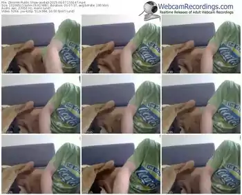 zbiornik-audia3-public-show-06_07_2015-15_51_47