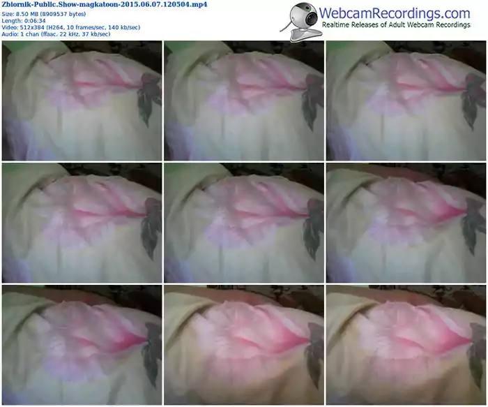 zbiornik-magkatoon-public-show-06_07_2015-12_05_04