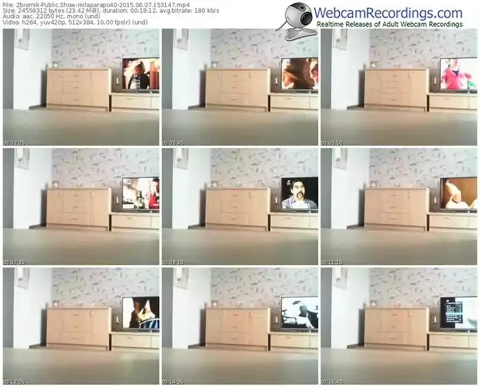 zbiornik-milaparapo40-public-show-06_07_2015-15_31_47